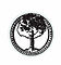 u2022treehouse_stamp_bulkedup1.jpg